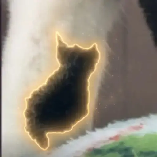 NIKO