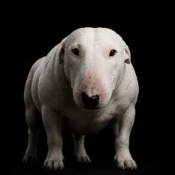 Nataliia