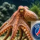 PAUL