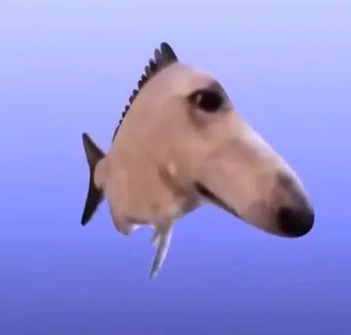 dih