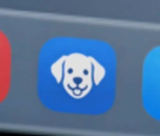 PETS
