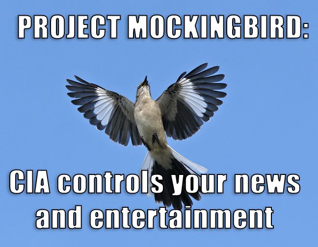 MOCKINGBIRD