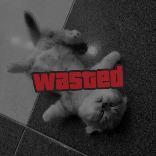 Wasted