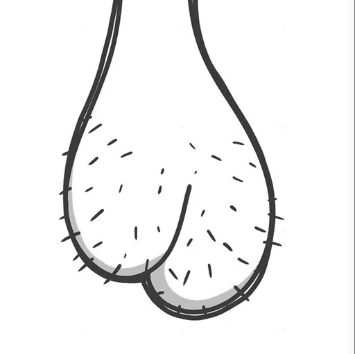 Ballsack