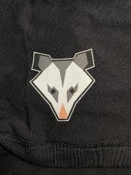 Opossum
