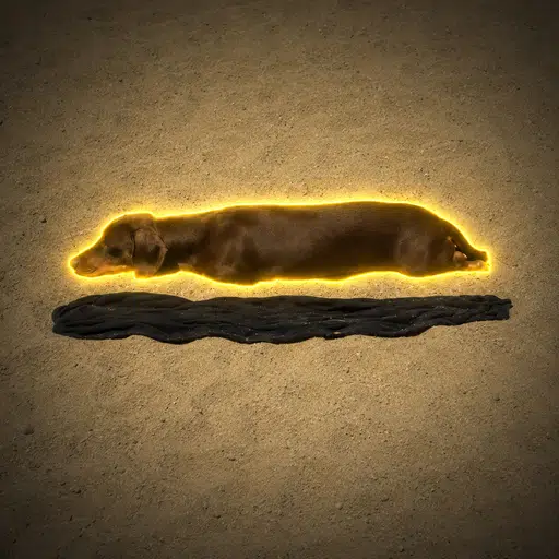 Float