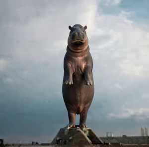 Hippo