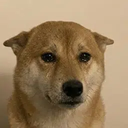 INU