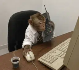 ape