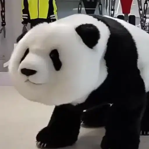 福智