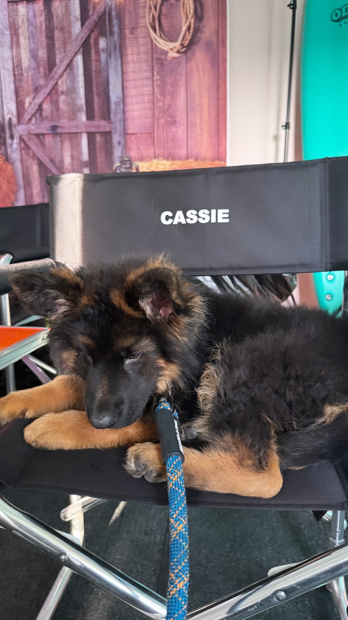CASSIE