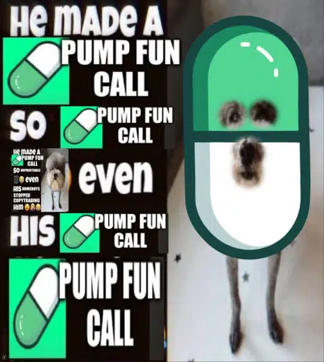 CALLDOG