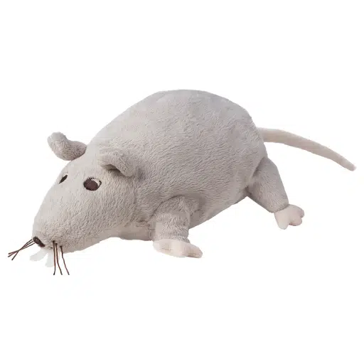 RÅTTA