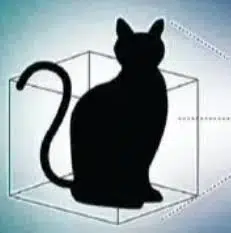 CAT logo