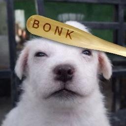 bonked