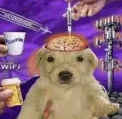 10GDOG