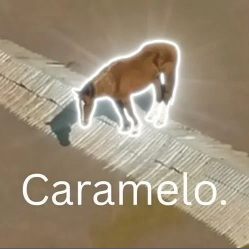 Caramelo