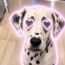 Cupid