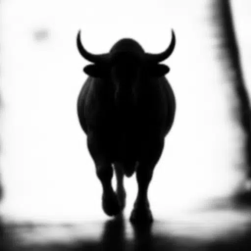 SHADOW — recently traded by Qavec on Solana