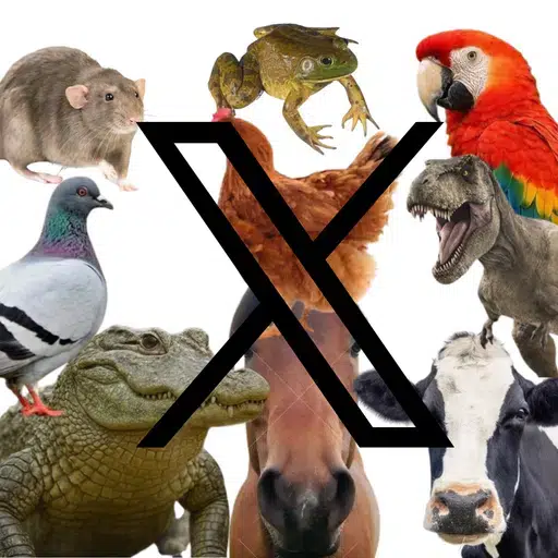 ANIMALS