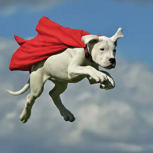 Krypto
