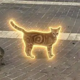 ◎CAT