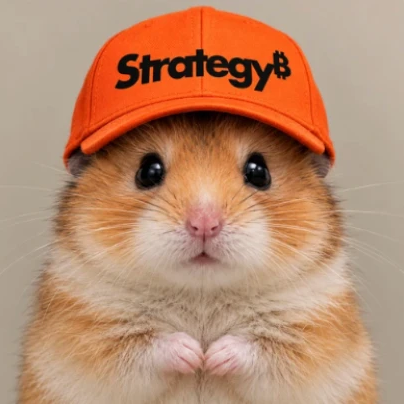 haMSTR