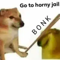 $Bonk token logo