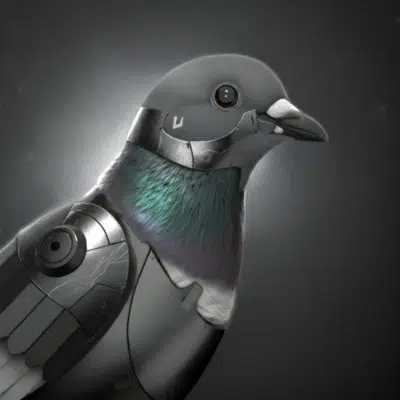 BIRDS