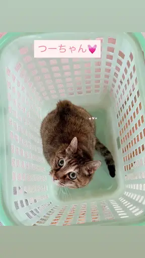 ツちゃん