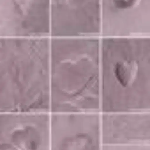 Hearts