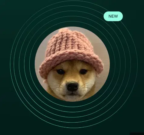 hyperwifhat