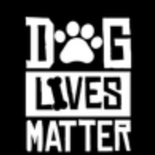DLM — Dog Lives Matter Solana token traded by KOLs