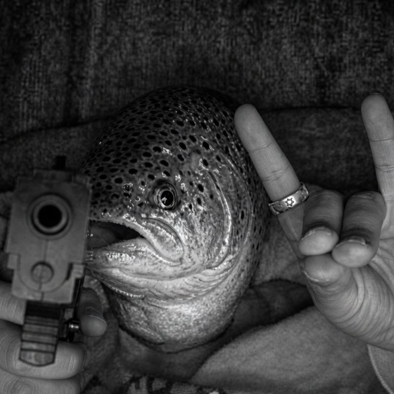 BIGTROUT — The Big Trout Solana token traded by KOLs