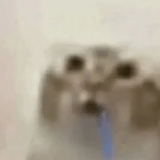 DROOLCAT