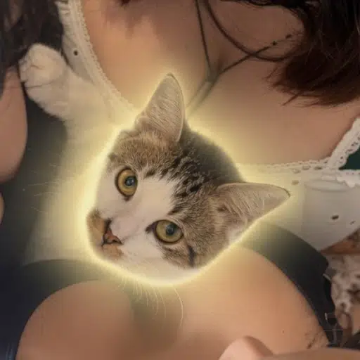 boobs