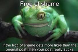 shame