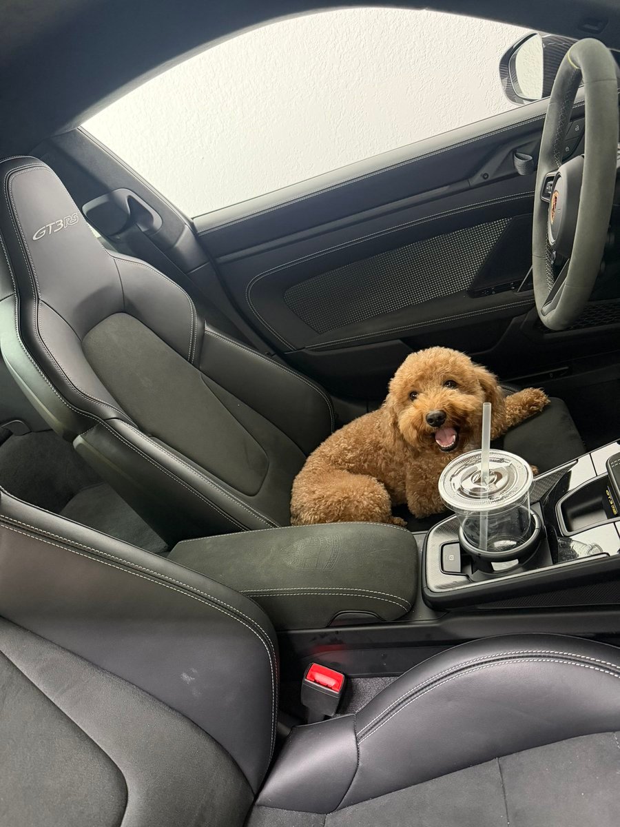 PUP