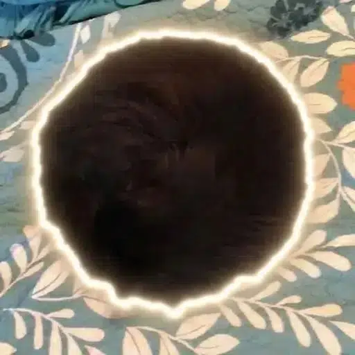 ◎