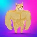 SWOLE