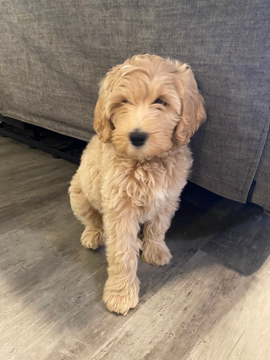 BAILEY