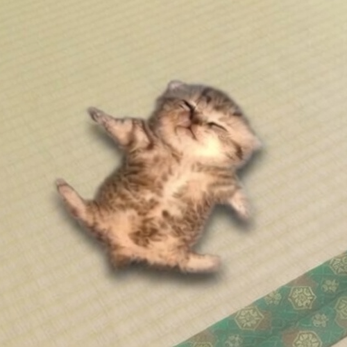 relax — relaxed cat Solana token traded by KOLs