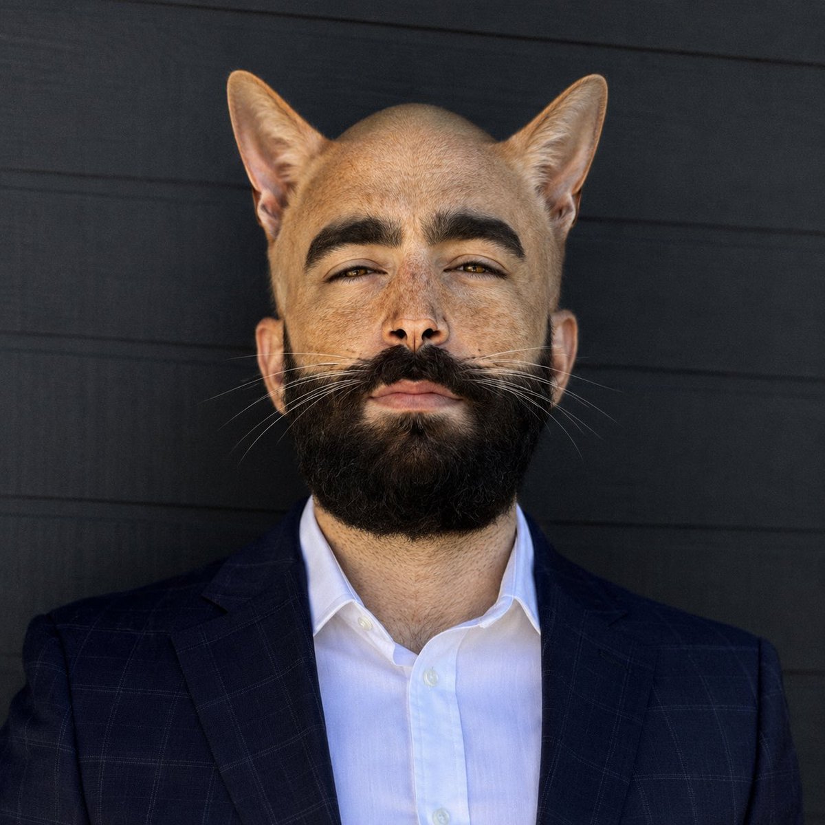 MERTCAT