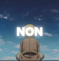 NON