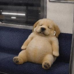 eeepydog