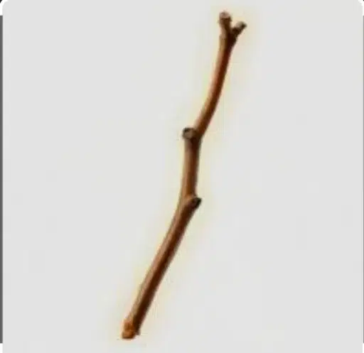 stick