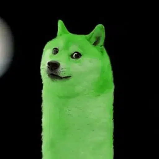 UPDOGE