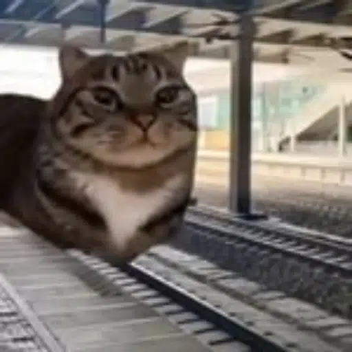 loaftrain