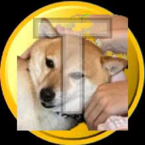 $TSUKI token logo