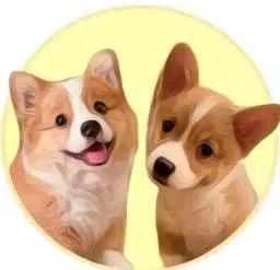 C&B